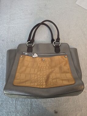 Metallic Aurielle Purse